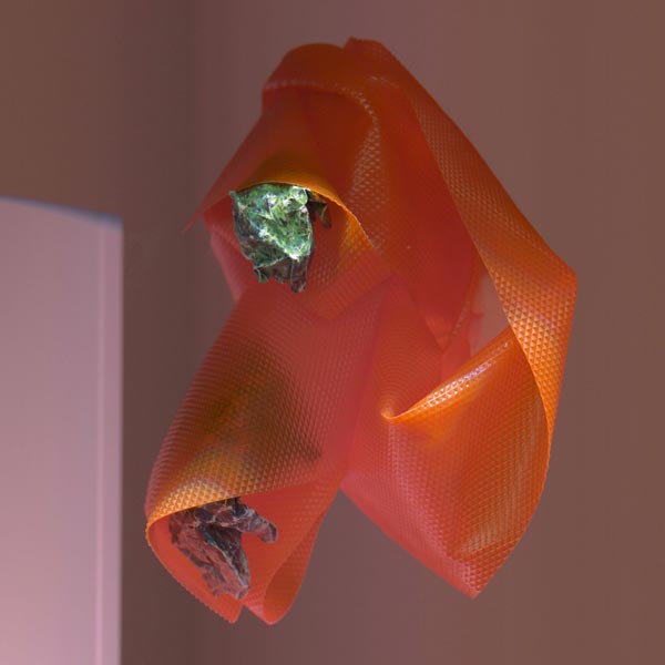 Exhibition by Giordano Biondi